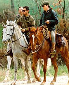 maneggio-todi-1